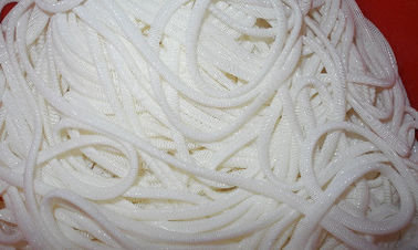 Grande bianco e blu della maglia del poliestere del monofilamento della maglia di spirale del poliestere
