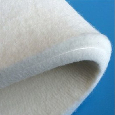 L'ago importato Sanfor senza fine di Nomex della lana ha ritenuto per il decatisaggio continuo